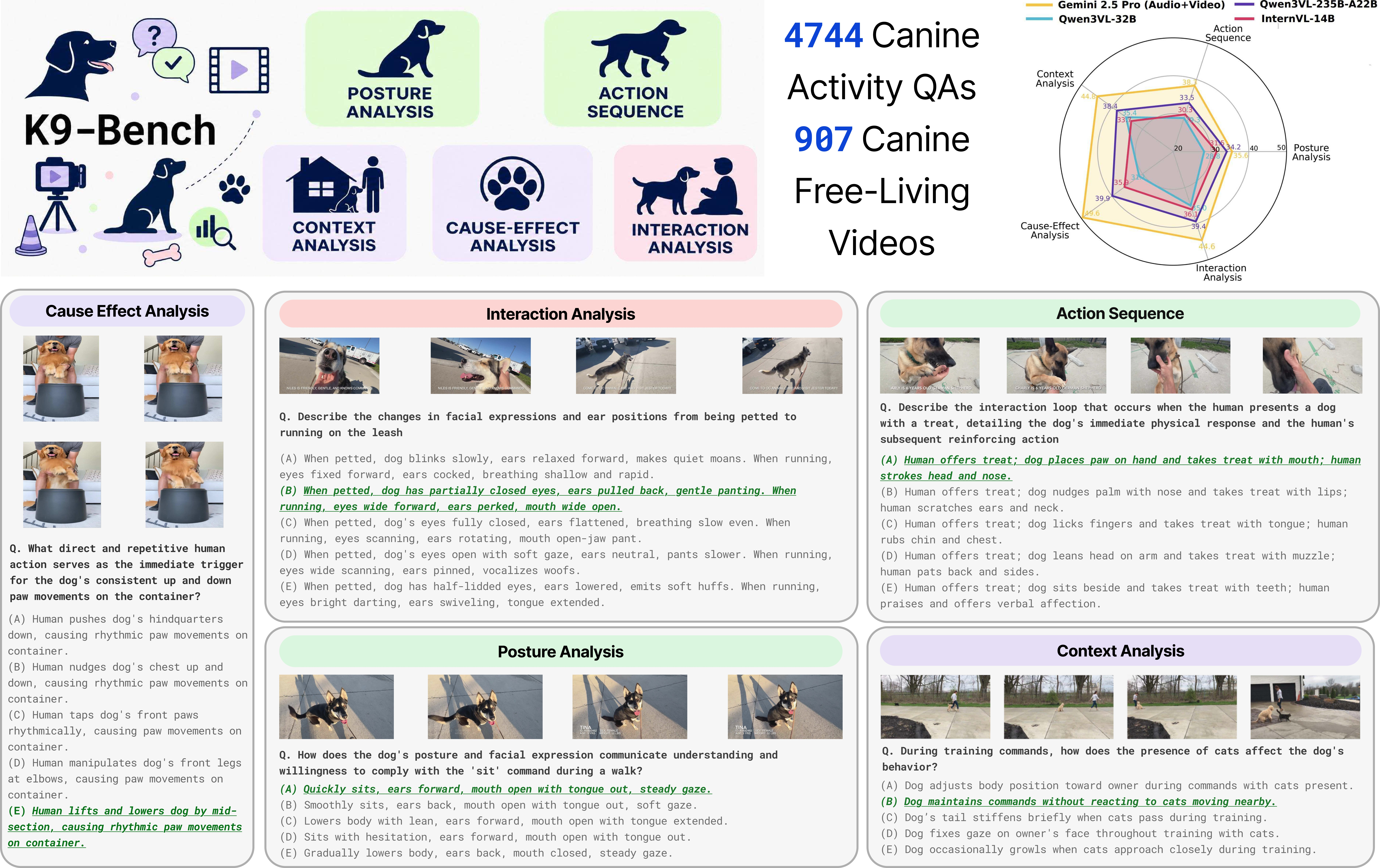 K9-Bench Overview Figure